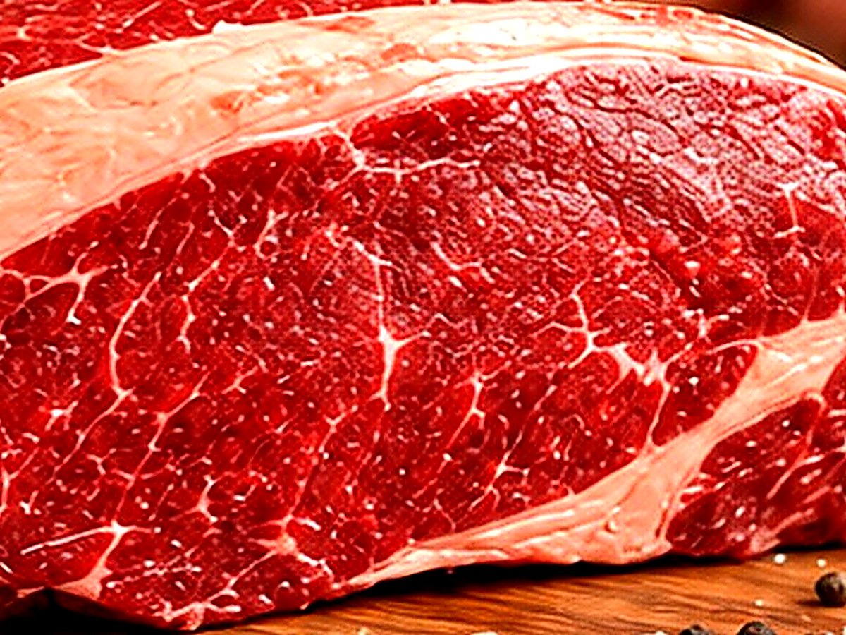 Fraldinha Bovina